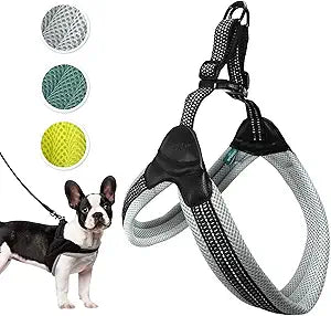 Sporn Easy Fit Dog Harness Gray Medium 19" to 25" Girth (49cm-66cm)