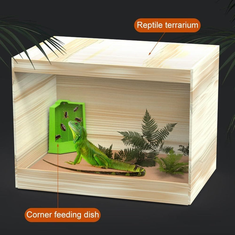 Comedero de esquina para reptiles con ventosas para lagarto, iguana, gecko, dragón barbudo - EL ENVÍO ESTÁ INCLUIDO EN EL PRECIO DE ESTE PRODUCTO