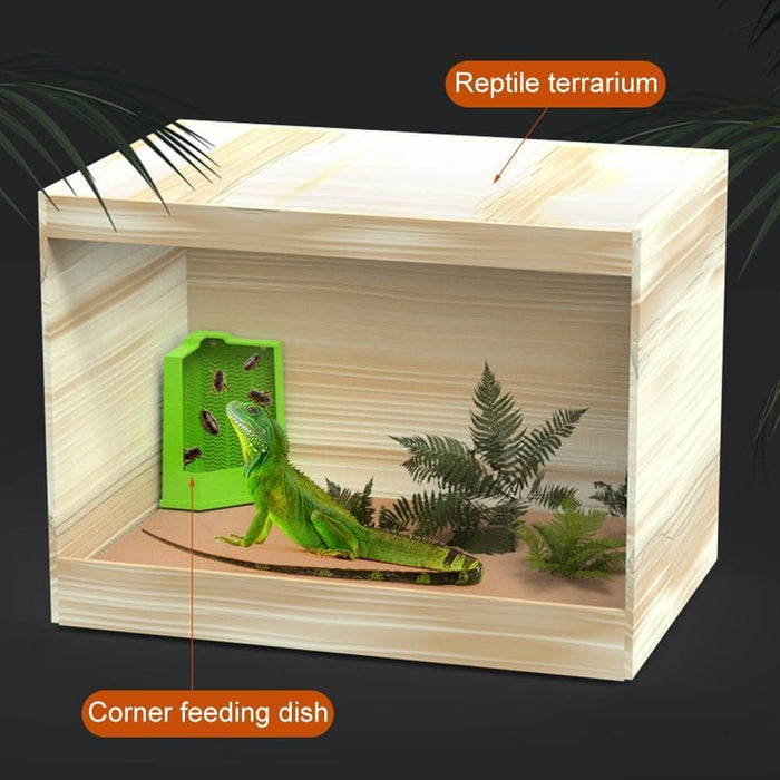 Reptile Corner Feeder Box Wall-Mounted With Suction Cups For Lizard Iguana Gecko Bearded Dragon -  SHIPPING IS INCLUDED IN THE PRICE OF THIS PRODUCT