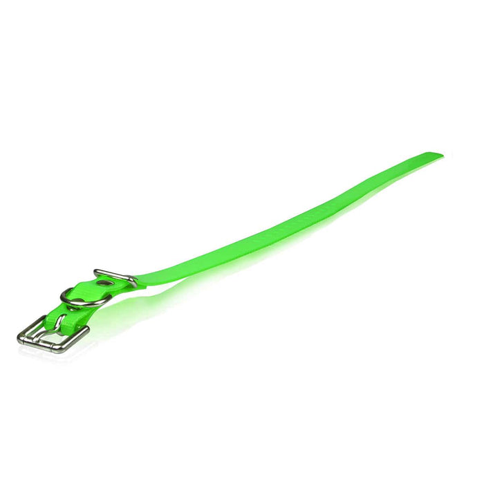 Correa para collar de perro Dogtra Extra, color verde, 1" x 24"