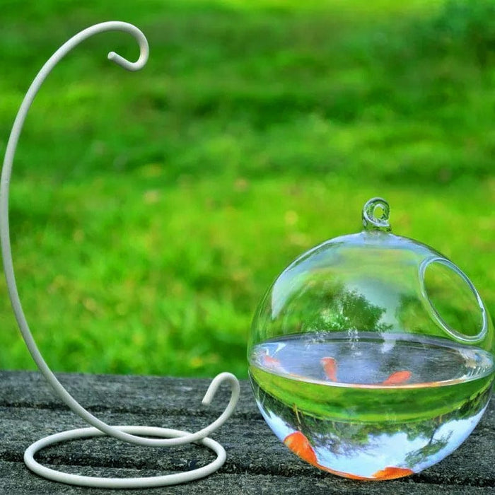 Hanging Glass Vase Fish Tank                SHIPPING IS INCLUDED IN THE PRICE OF THIS PRODUCT