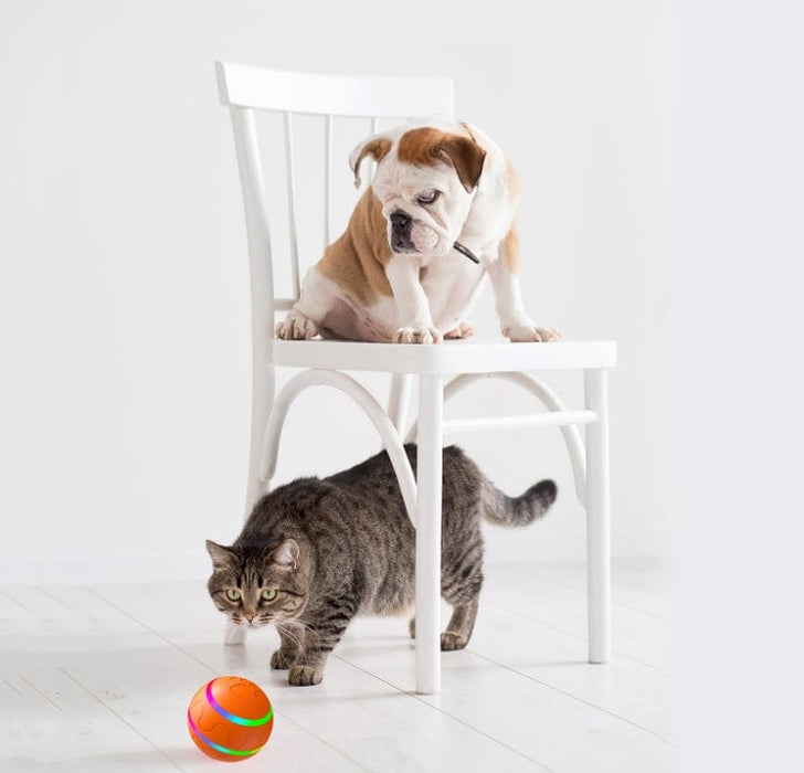 Self Rotating Automatic Cat or Dog Action Ball Toy - Intelligent Ball USB rechargeable -   SHIPPING IS INCLUDED IN THE PRICE OF THIS PRODUCT