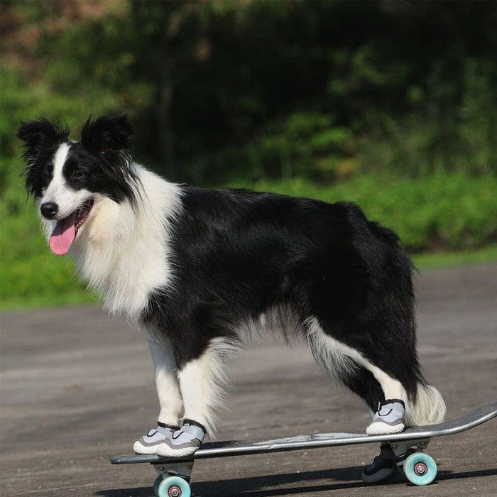 Zapatos para perros grandes resistentes al desgaste y transpirables. EL ENVÍO ESTÁ INCLUIDO EN EL PRECIO DE ESTE PRODUCTO