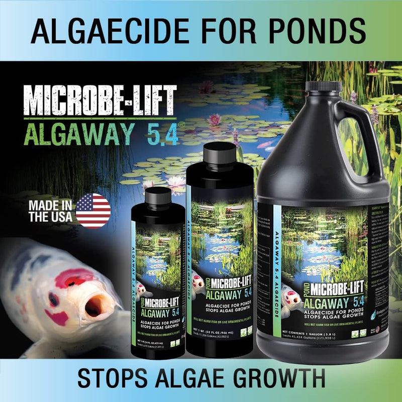 Microbe-Lift Algaway 5.4 16oz