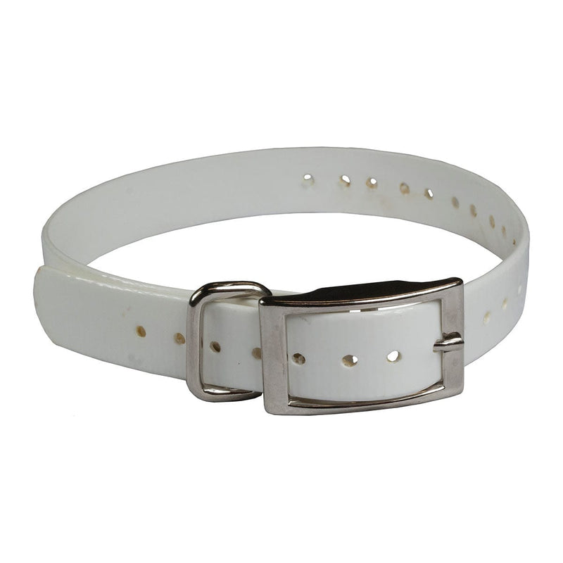 The Buzzard's Roost Replacement Collar Strap 3/4" Black 3/4" x 24"