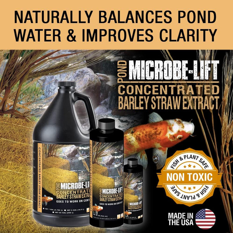 Microbe-Lift Concentrated Barley Straw Extract 32 oz