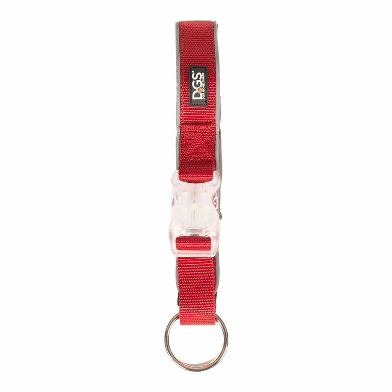 DGS Pet Products Comet Rechargeable Light Up Dog Collar Large Red 20" - 25" x 1"