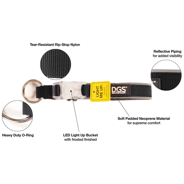 DGS Pet Products Comet Rechargeable Light Up Dog Collar Medium Black 16" - 20" x 0.75"