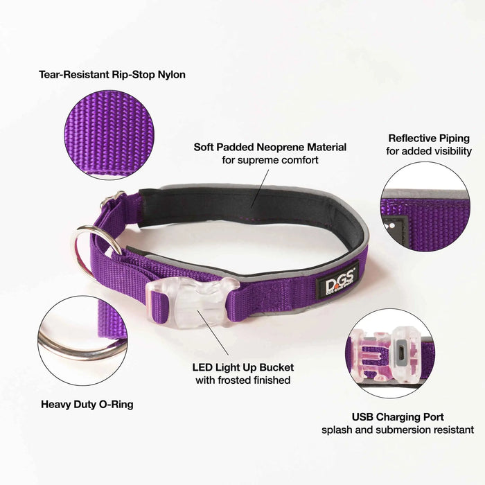 DGS Pet Products Comet Rechargeable Light Up Dog Collar Medium Purple 16" - 20" x 0.75"