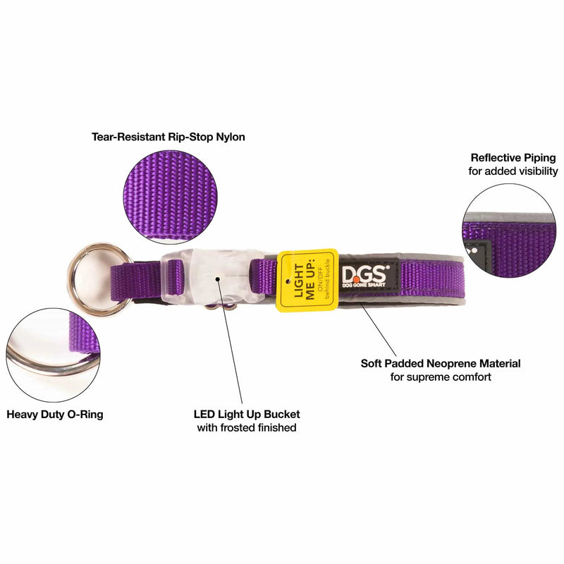Collar para perros con luz recargable Comet de DGS Pet Products, morado mediano, 16" - 20" x 0,75"