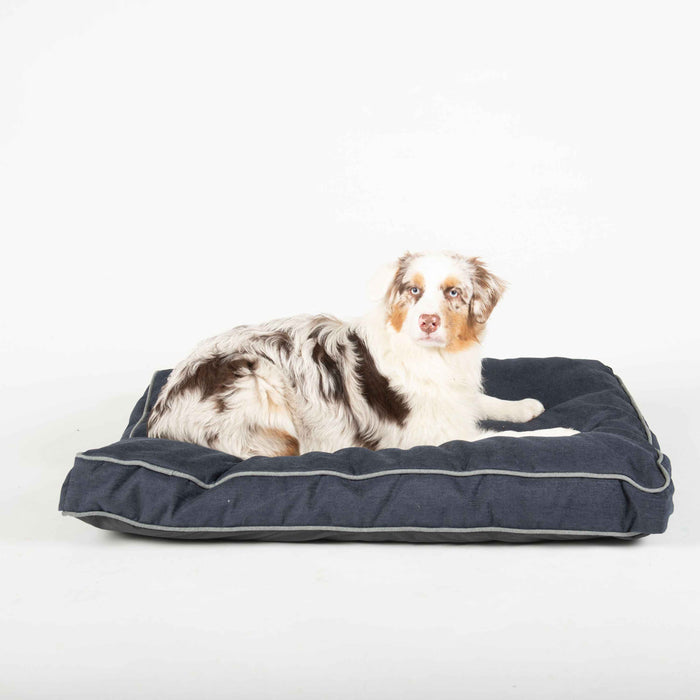 Cama rectangular para mascotas DGS Pet Products Repelz-It de chenilla para tapicería, tamaño pequeño, azul/gris, 26" x 34" x 4,5"