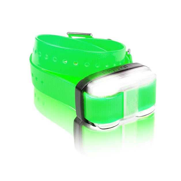 Collar para perros Dogtra EDGE 1 Mile Extra verde