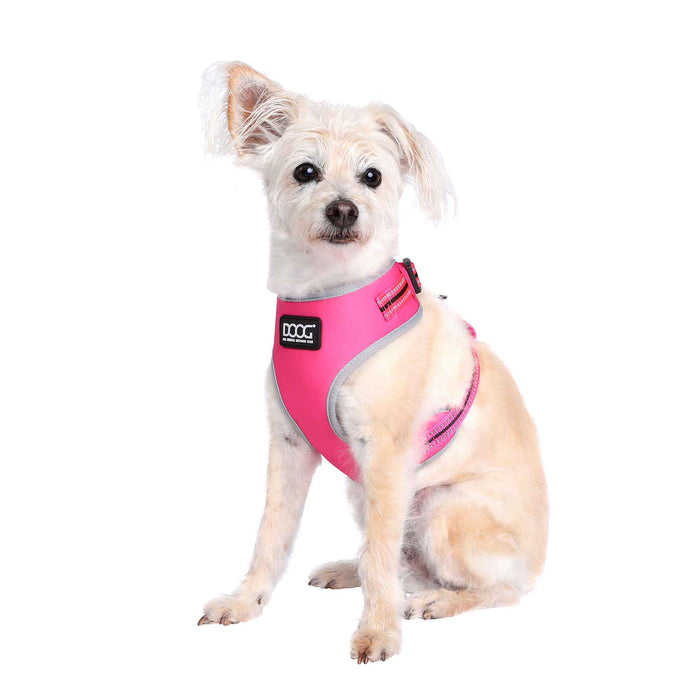 Arnés para perros DOOG Neoflex Lady color rosa neón