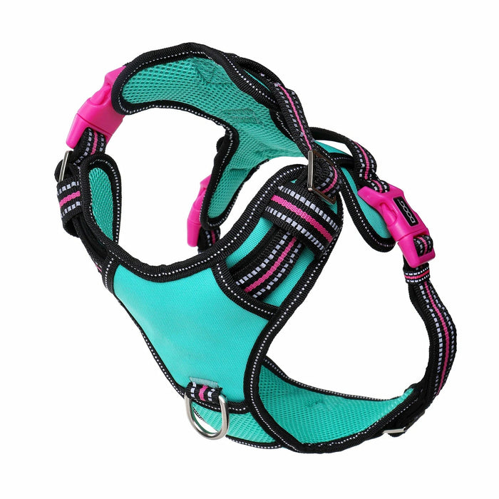 Arnés para perros DOOG Neotech Rin Tin Tin azul/rosa/negro