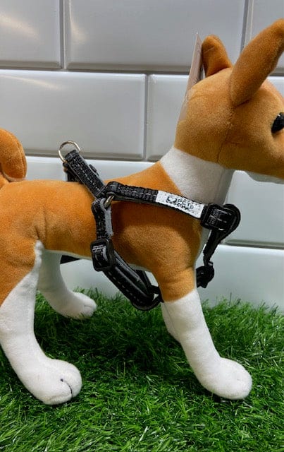 Pet Zone Gear Zone Dog Harness Small -12" to 18" Black