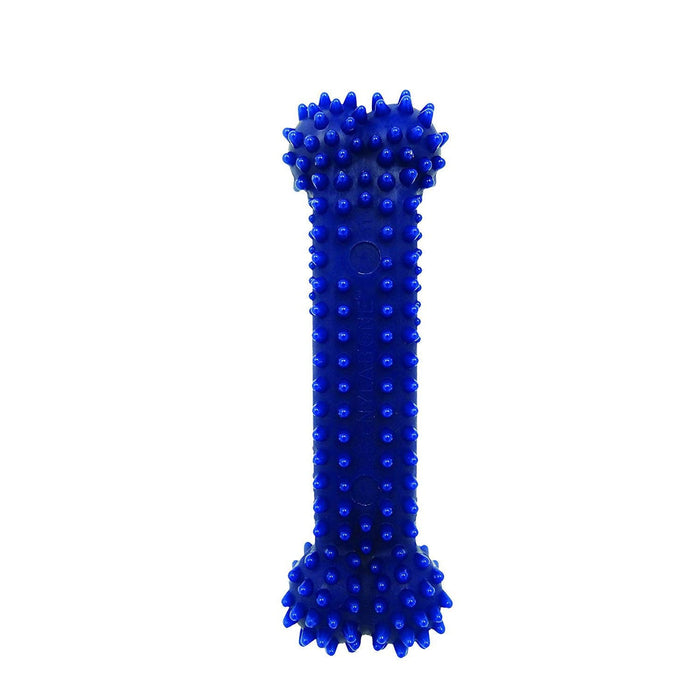 Juguete masticable dental para perros Nylabone, extra pequeño, azul, 4" x 1,1" x 0,5"