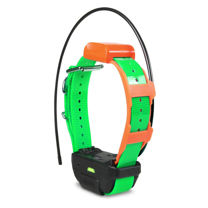 Collar de seguimiento exclusivo Dogtra Pathfinder TRX, color verde