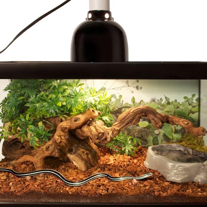 Repti Bark 24qt - Reptile Bedding