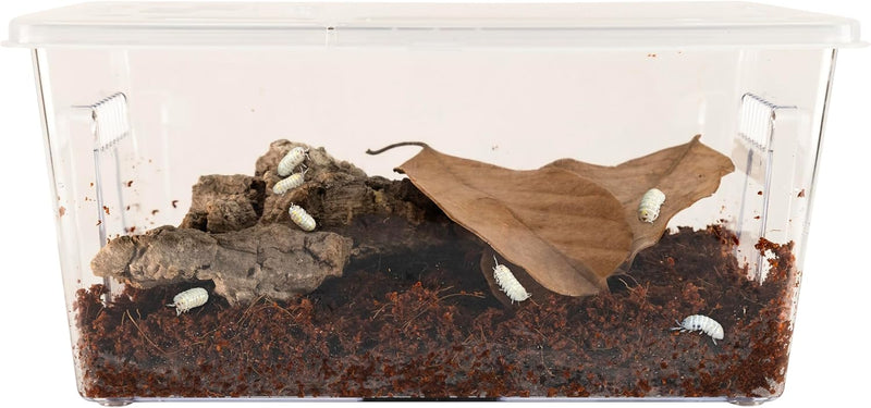 Zoo Med Creatures Roly Poly Isopod Habitat Kit 10.25Inx5Inx5.75in.