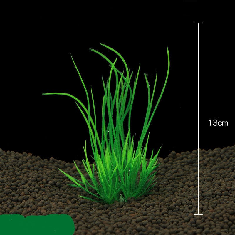 Planta de Acuario - EL ENVIO ESTÁ INCLUIDO EN EL PRECIO DE ESTE PRODUCTO
