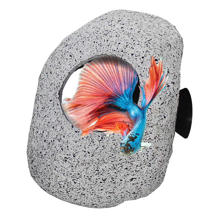 Betta Resting Decor Comfort Cave - Shore Fins Penn Plax