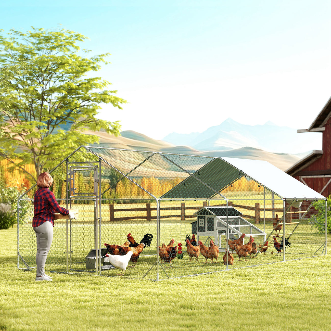 Chicken Coops