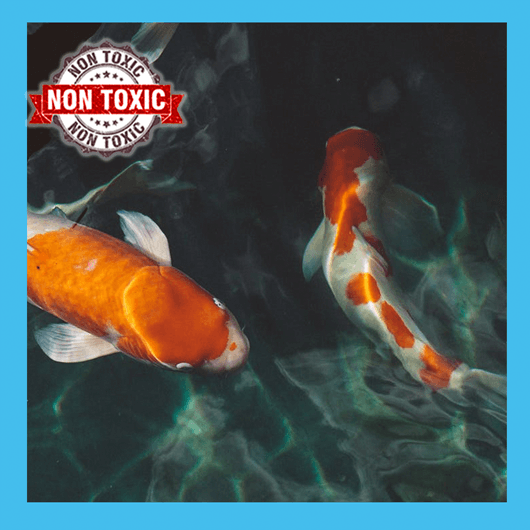 Microbe-Lift PL    32 Oz. or  1 Gallon