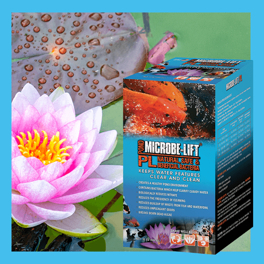 Microbe-Lift PL    32 Oz. or  1 Gallon