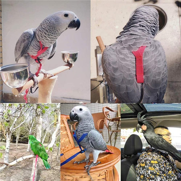 Bird Harness  -  SHIPPING IS INCLUDED IN THE PRICE OF THIS PRODUCT