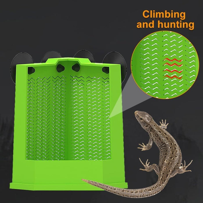 Reptile Corner Feeder Box Wall-Mounted With Suction Cups For Lizard Iguana Gecko Bearded Dragon -  SHIPPING IS INCLUDED IN THE PRICE OF THIS PRODUCT