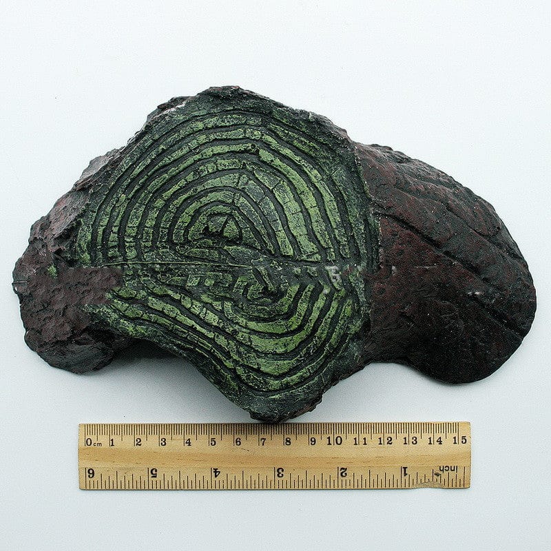 Reptile basking spot & Hide out - SHIPPING IS INCLUDED IN THE PRICE OF THIS PRODUCT