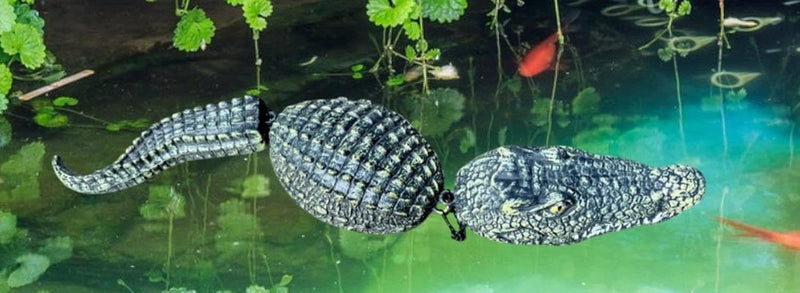 Koi Pond,  Floating Alligator Sculpture, Ornament for Outdoor Pond Decor