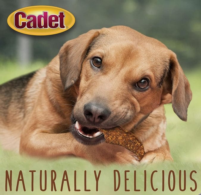 Cadet Gourmet Duck Jerky for Dogs