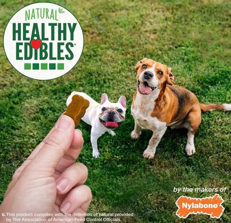 Nylabone Natural Healthy Edibles Chicken Chewy Bites Dog Treats