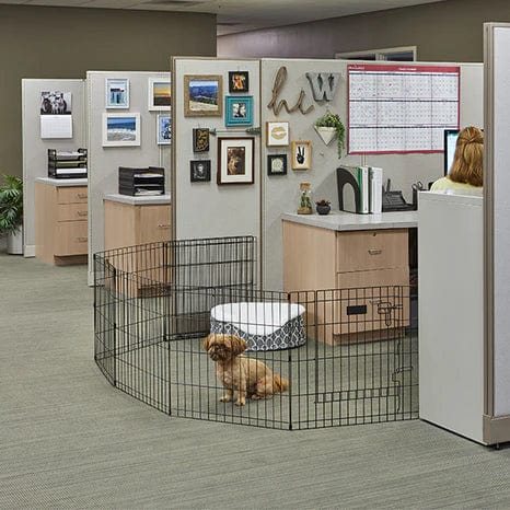 MidWest Contour Wire Exercise Pen with Door for Dogs and Pets