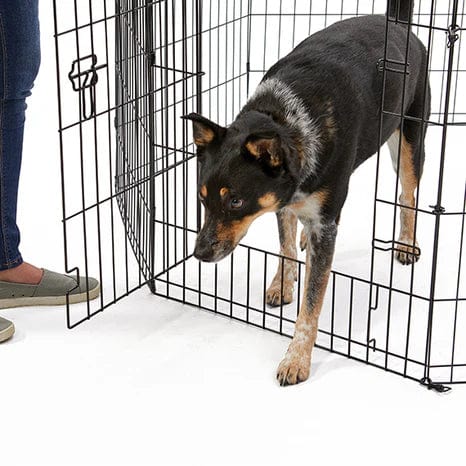 MidWest Contour Wire Exercise Pen with Door for Dogs and Pets