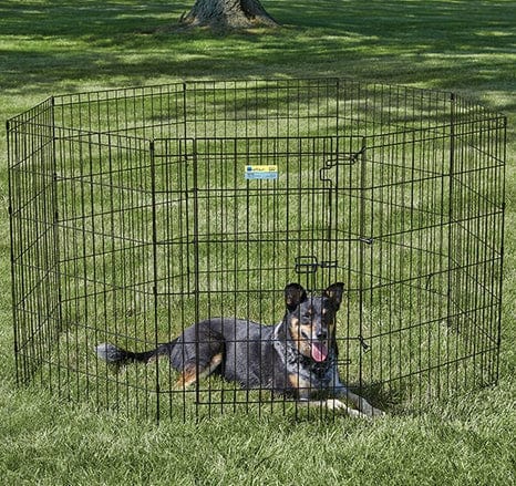 MidWest Contour Wire Exercise Pen with Door for Dogs and Pets