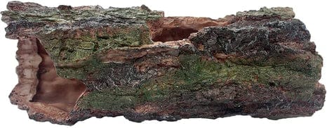 Komodo Forest Log