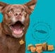 Stewart Freeze Dried Wild Salmon Treats