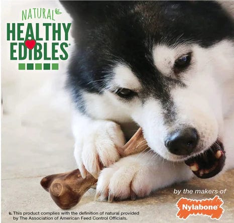 Nylabone Healthy Edibles Natural Wild Bison Chew Treats Large