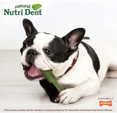 Nylabone Natural Nutri Dent Fresh Breath Limited Ingredients Medium Dog Chews