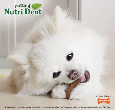 Nylabone Natural Nutri Dent Filet Mignon Limited Ingredients Mini Dog Chews