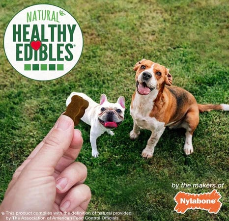 Nylabone Natural Healthy Edibles Beef and Cheese Chewy Bites Dog Treats