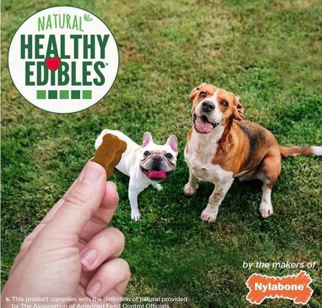 Nylabone Natural Healthy Edibles Peanut Butter Chewy Bites Dog Treats