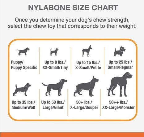 Nylabone Power Chew Bison Bone Alternative Dog Chew Toy Beef Flavor