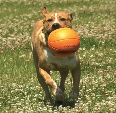 Nylabone Power Play B-Ball Grips Basketball Medium 4.5" Dog Toy