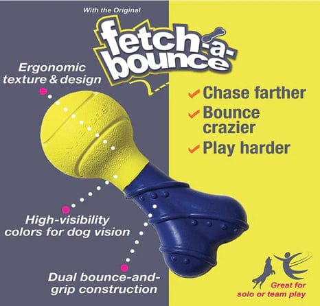 Nylabone Power Play Fetch-a-Bounce Rubber Dog Toy