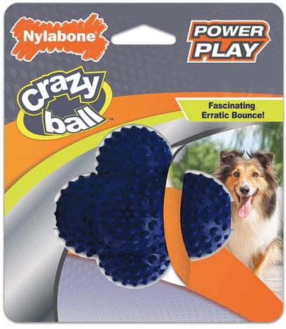 Nylabone Power Play Crazy Ball Dog Toy Large