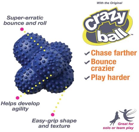 Nylabone Power Play Crazy Ball Dog Toy Large