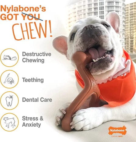 Nylabone Power Chew Durable Dog Chew Toys Twin Pack Chicken and Jerky Flavor